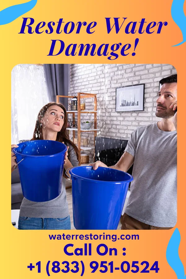 water restoration Solid Disaster Cleanup & Associates Gordon
