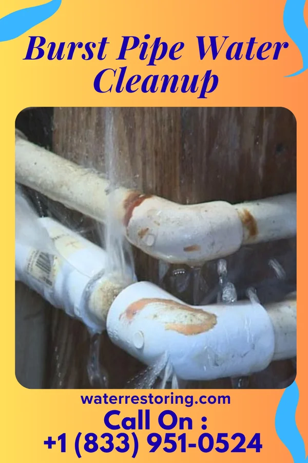 Burst Pipe Water Cleanup in Gordon, OH