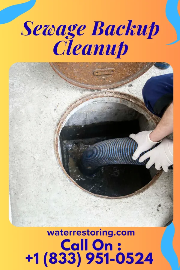 Sewage Backup Cleanup in Gordon, OH