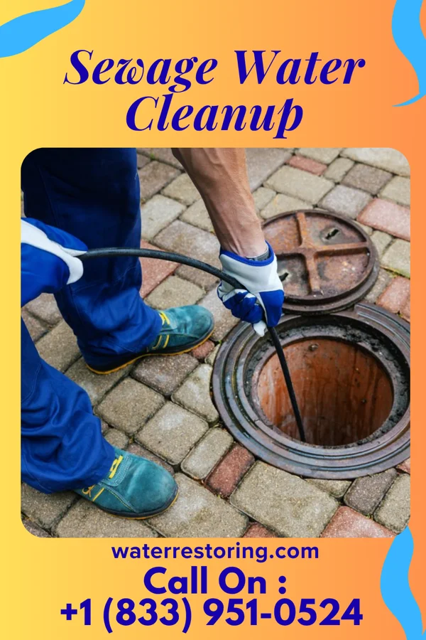 Sewage Water Cleanup in Gordon, OH