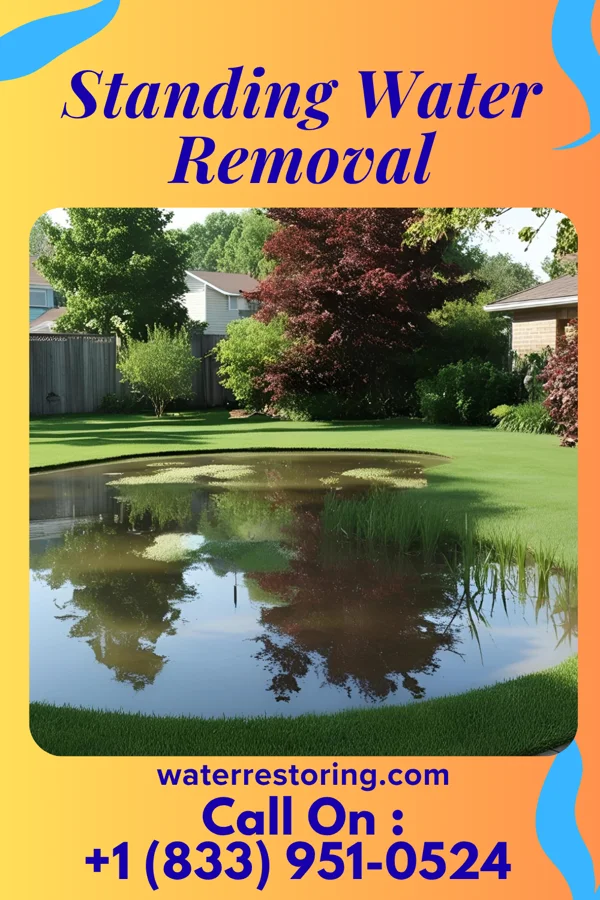 Standing Water Removal in Gordon, OH